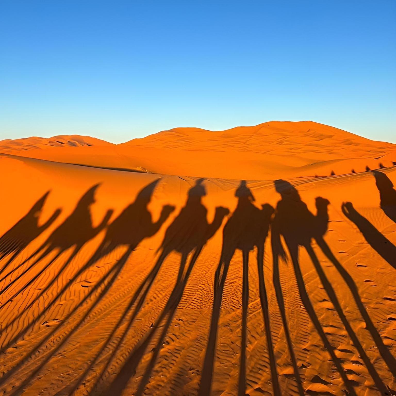Dunes Glamping Merzouga